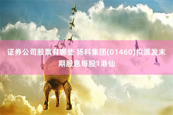 证券公司股票有哪些 扬科集团(01460)拟派发末期股息每股1港仙