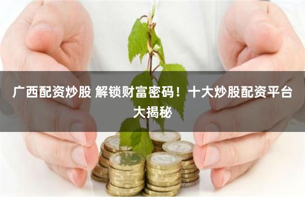 广西配资炒股 解锁财富密码！十大炒股配资平台大揭秘