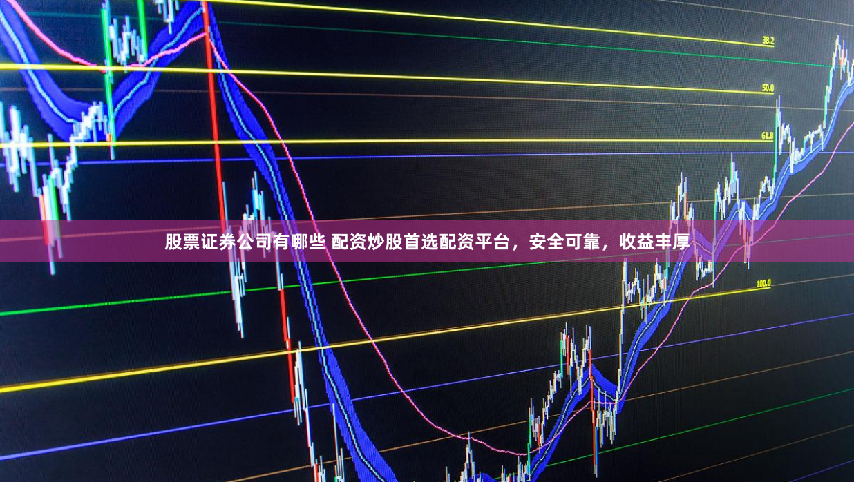 股票证券公司有哪些 配资炒股首选配资平台，安全可靠，收益丰厚