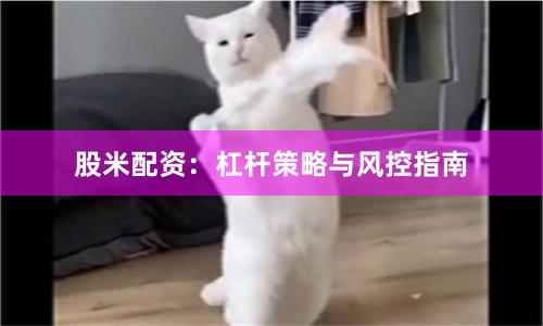 股米配资：杠杆策略与风控指南