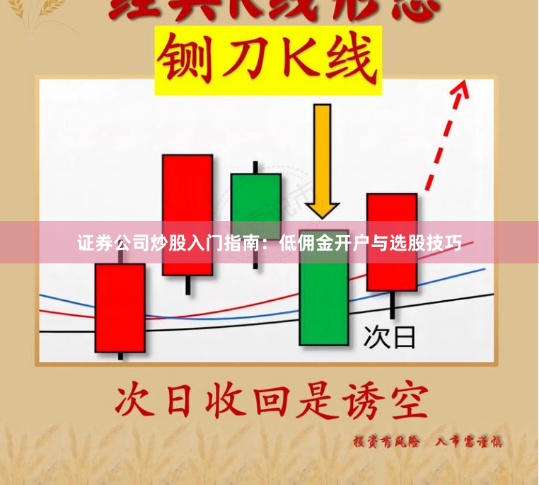 证券公司炒股入门指南：低佣金开户与选股技巧